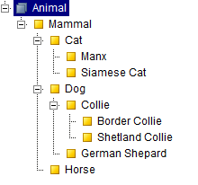 animals taxonomy